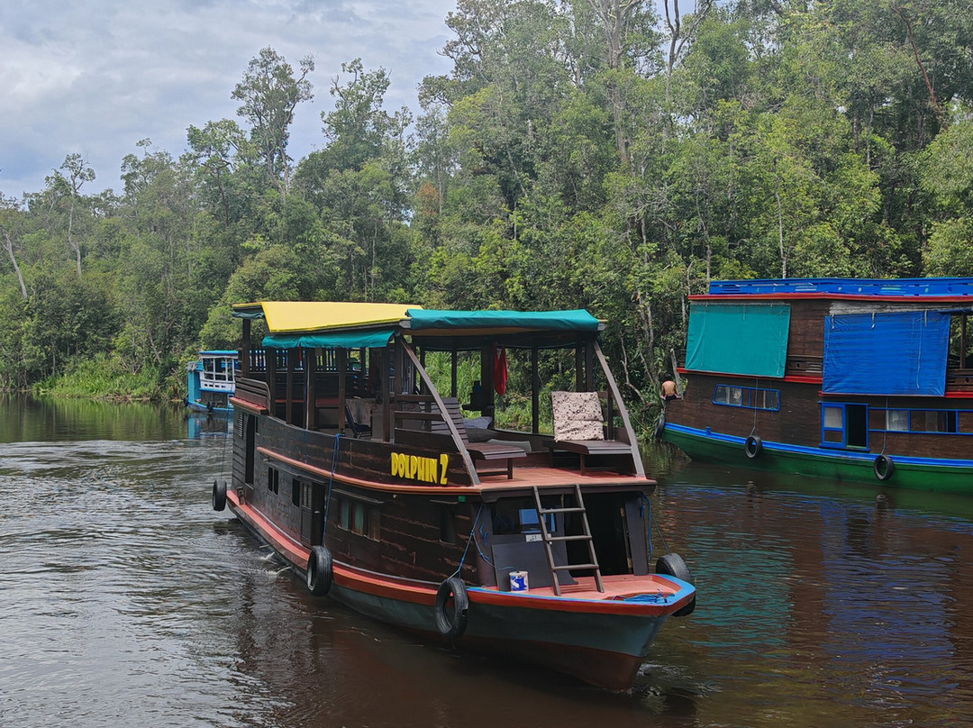 Dolphindo Tour Orangutan Tanjung Puting-Kumai必去景点