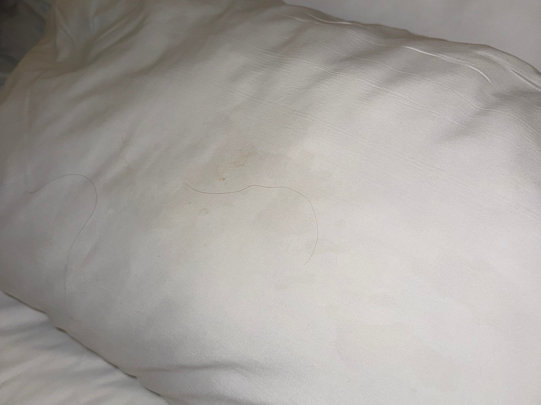 拉斯维加斯巴黎酒店主图