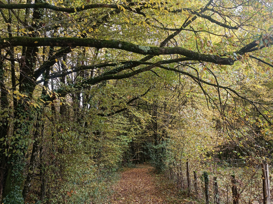 Ferme Chene de Greletti-Chalais必去景点