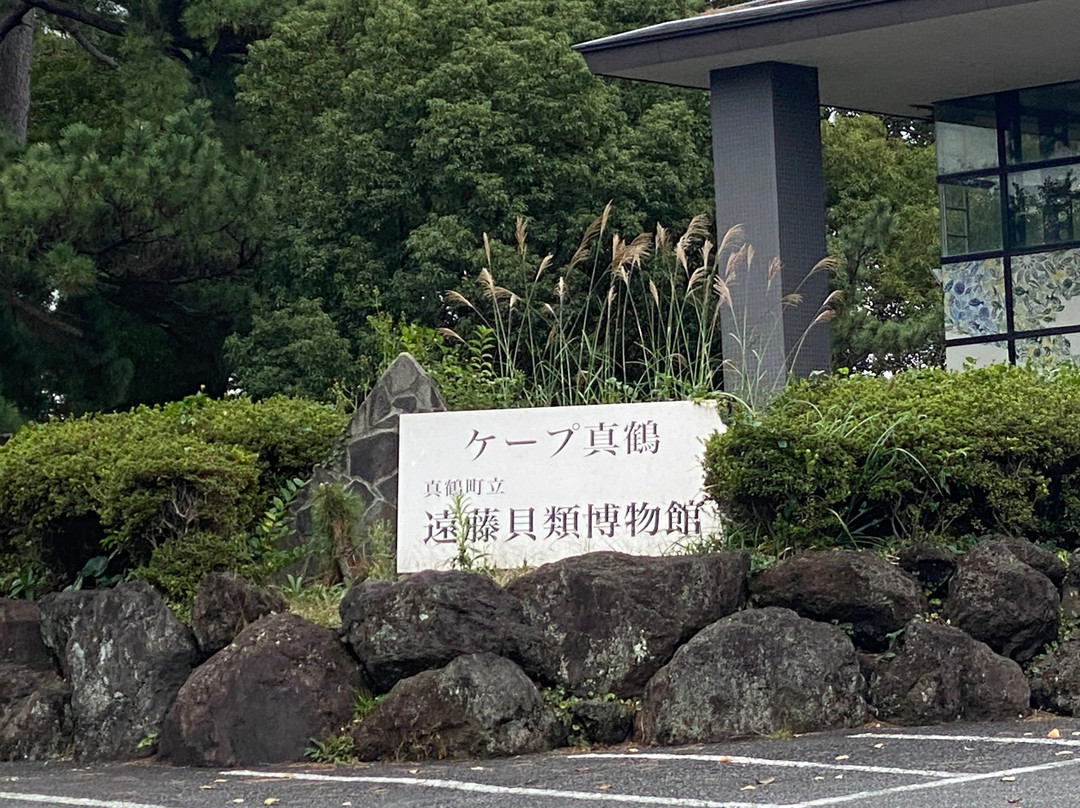 Cape Manazuru-真鹤町必去景点