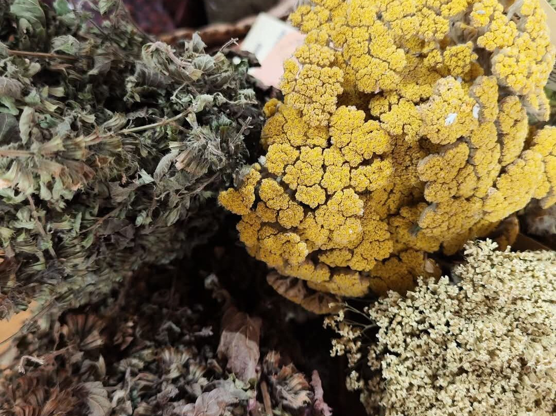 Ethno Village Dolene-Petrich必去景点