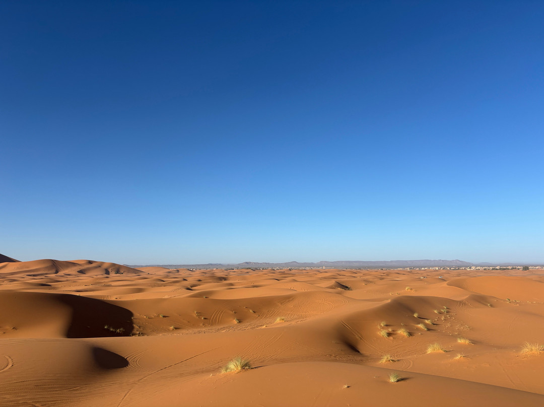 Morocco Everywhere Tours-非斯必去景点