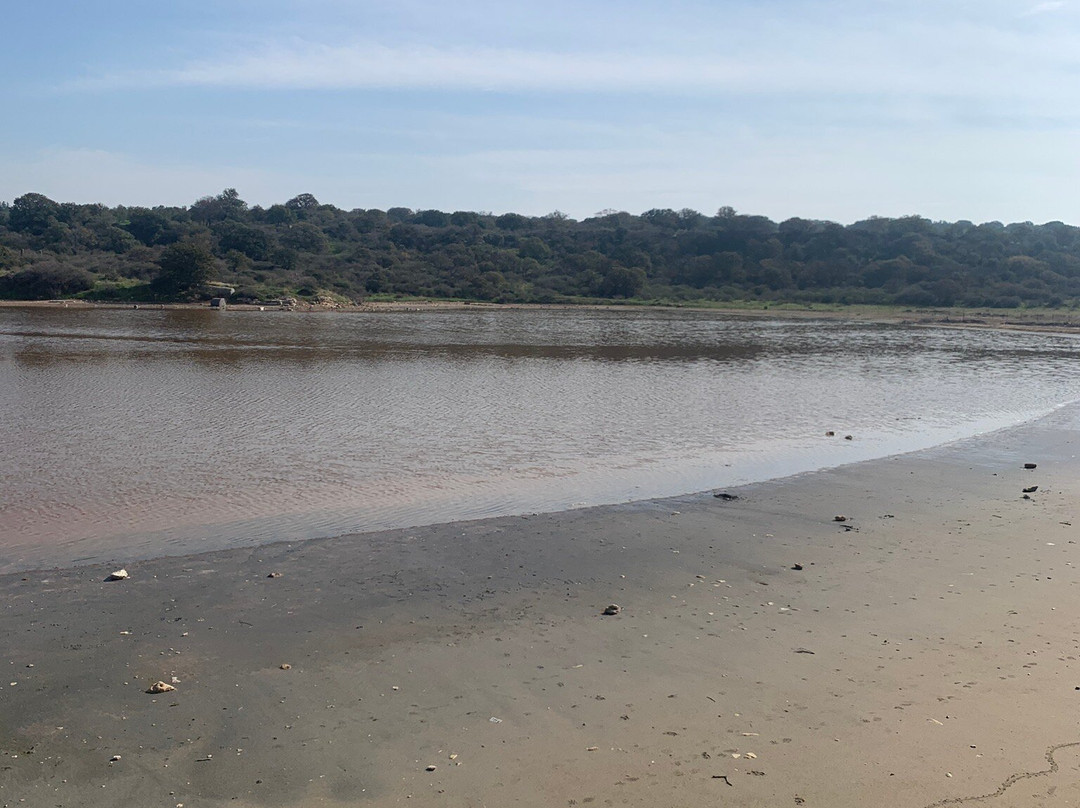 Pembe Göl-Ezine必去景点