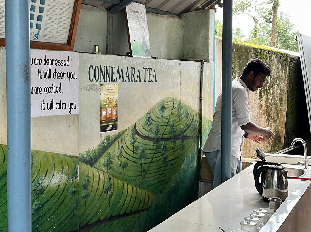 Connemara Tea Factory-Vandiperiyar必去景点