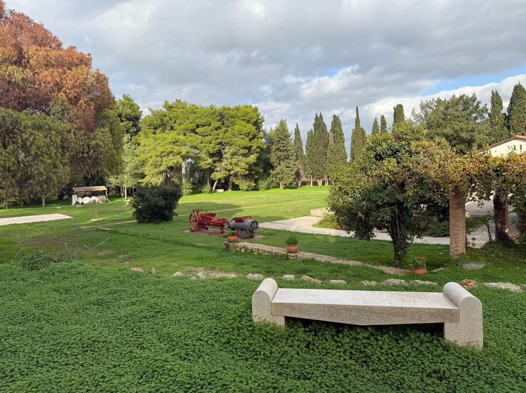 Mercouri Estate-Pyrgos必去景点