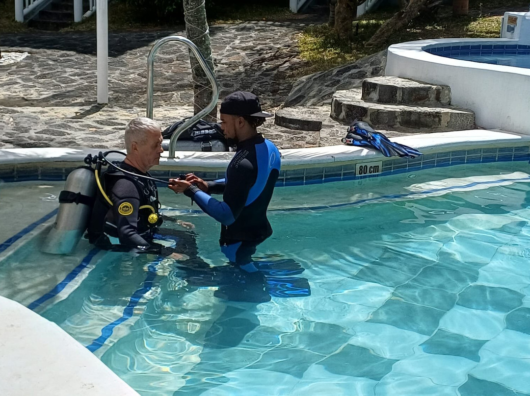 Orca Dive Club - Pereybere-Pereybere必去景点