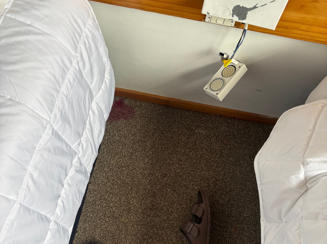 Papakura Motor Lodge & Motel主图