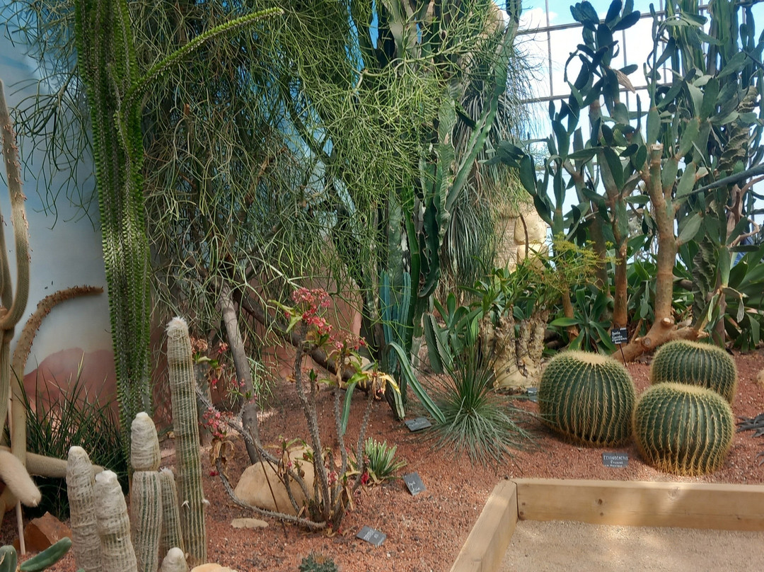 昂热植物园-昂热必去景点