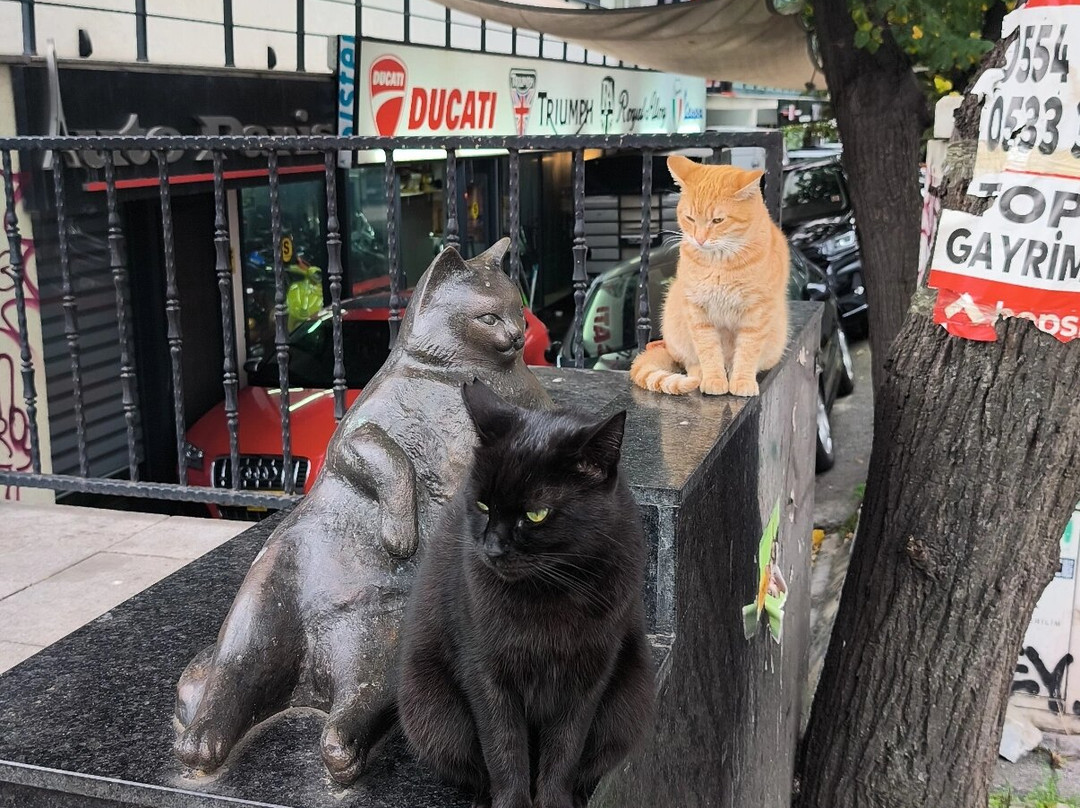 Monuemnt to the Cat Tombili-伊斯坦布尔必去景点