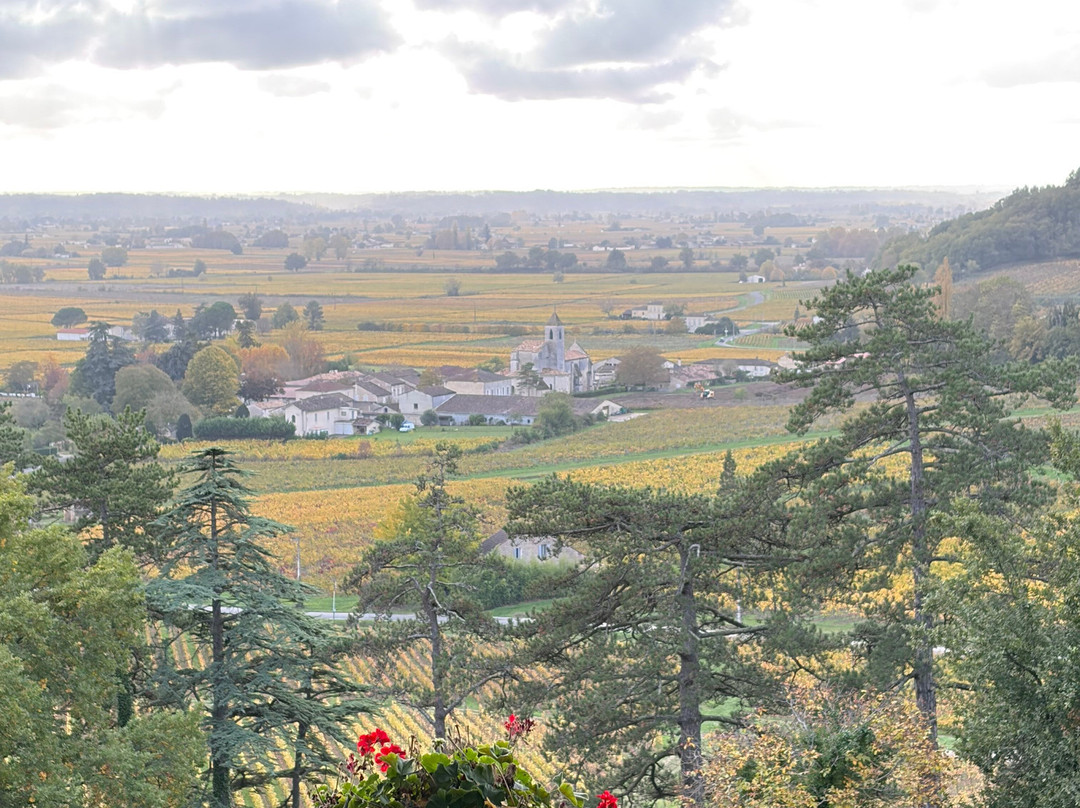 Château de Pressac-Saint-Etienne-De-Lisse必去景点