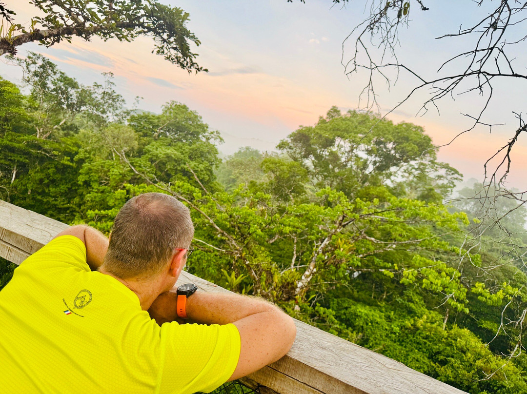 Camp Canopée-Kourou必去景点