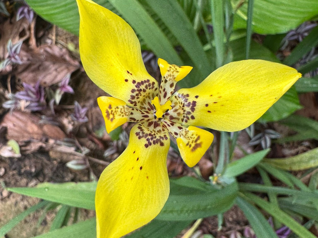 Parque Ecologico Mundo Amazonico-莱蒂西亚必去景点