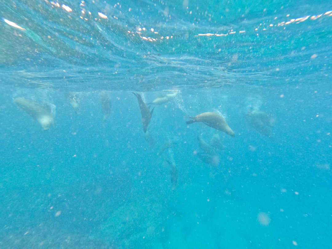 Woebegone Freedive-赫斯基森必去景点