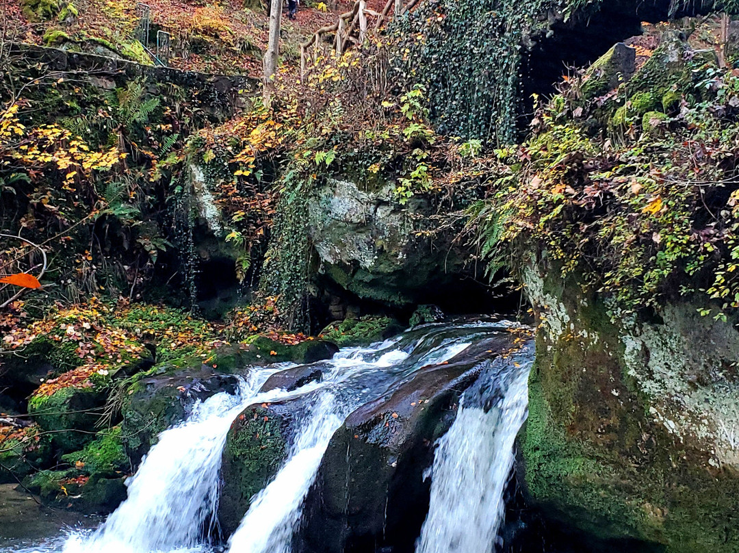 Schiessentumpel Waterfall-Mullerthal必去景点