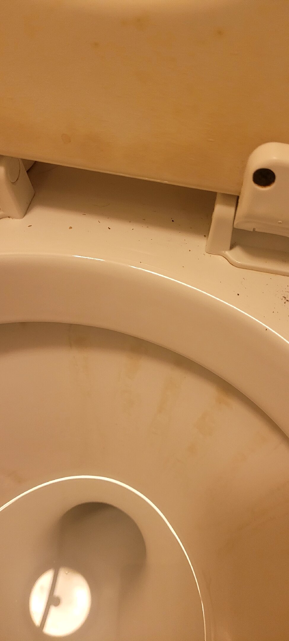 Northwest Inn-官方