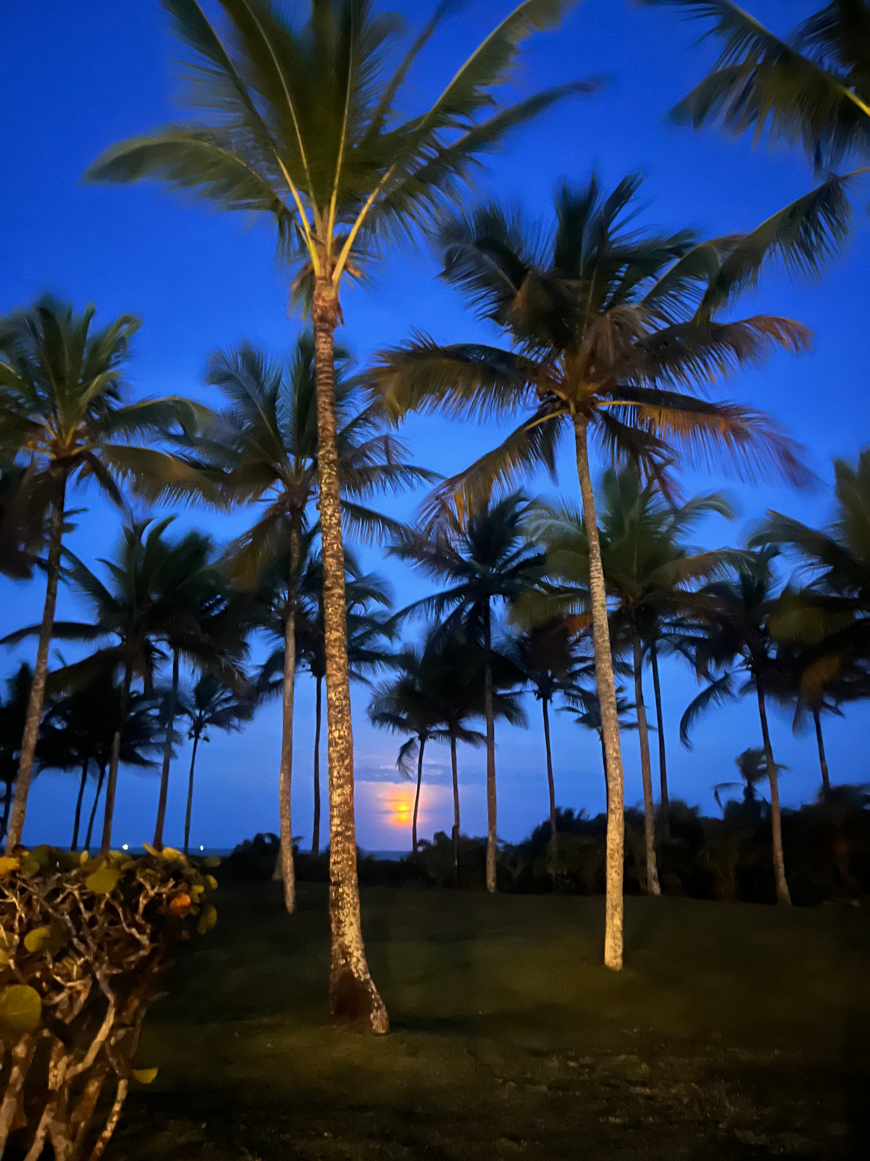 Transamerica Resort Comandatuba-官方