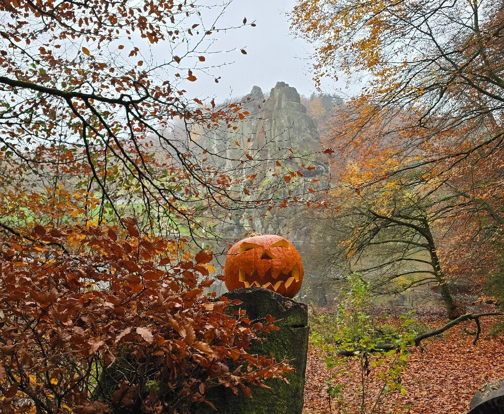 Externsteine-霍恩-巴特迈恩贝格必去景点