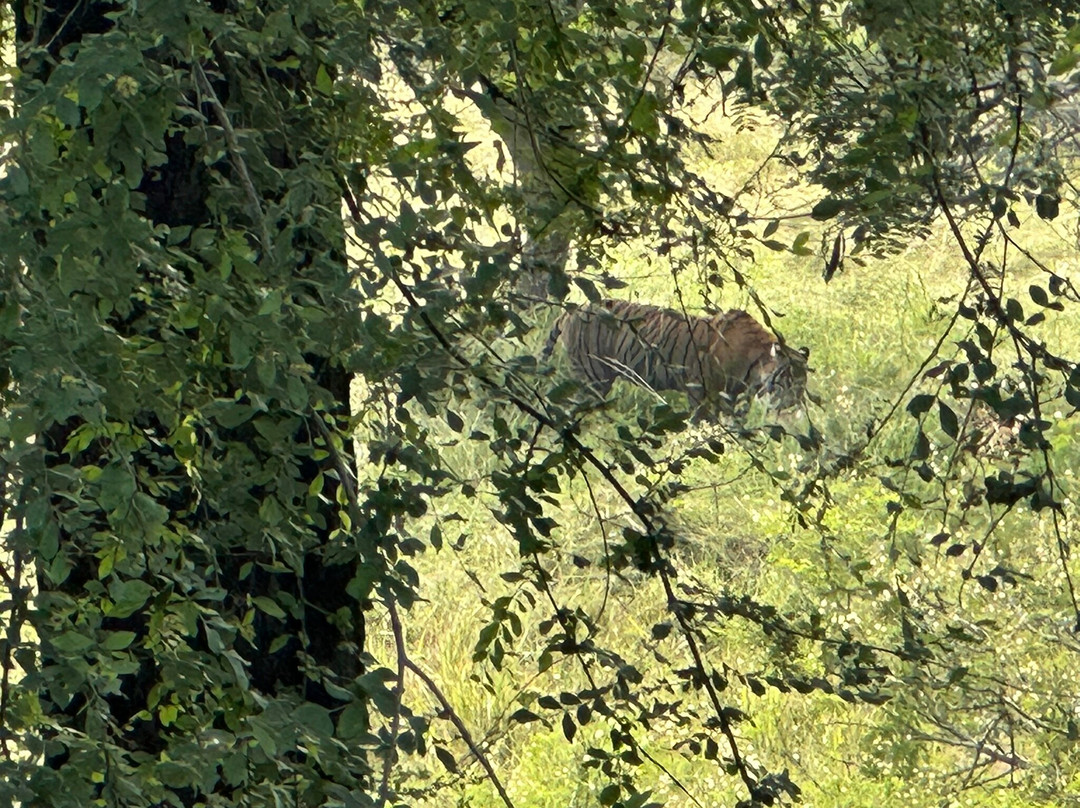 D.K. Car and Driver India-阿格拉必去景点