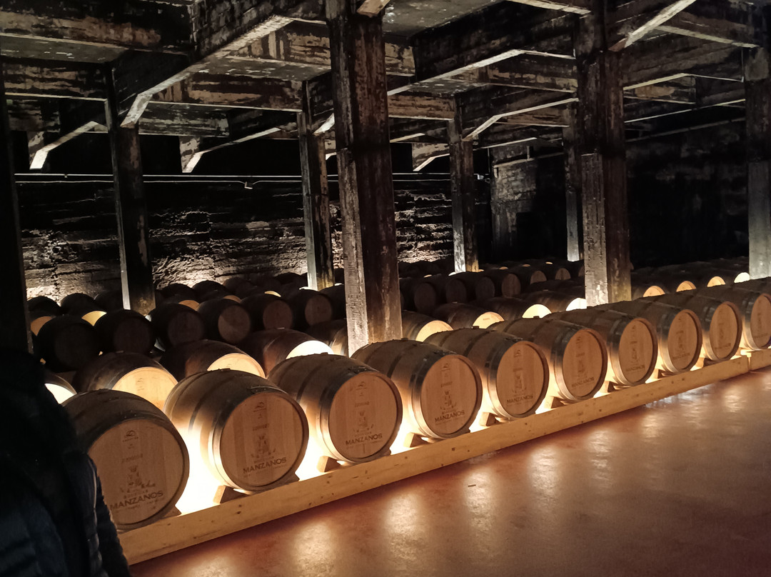 Bodegas Manzanos Haro-哈罗必去景点