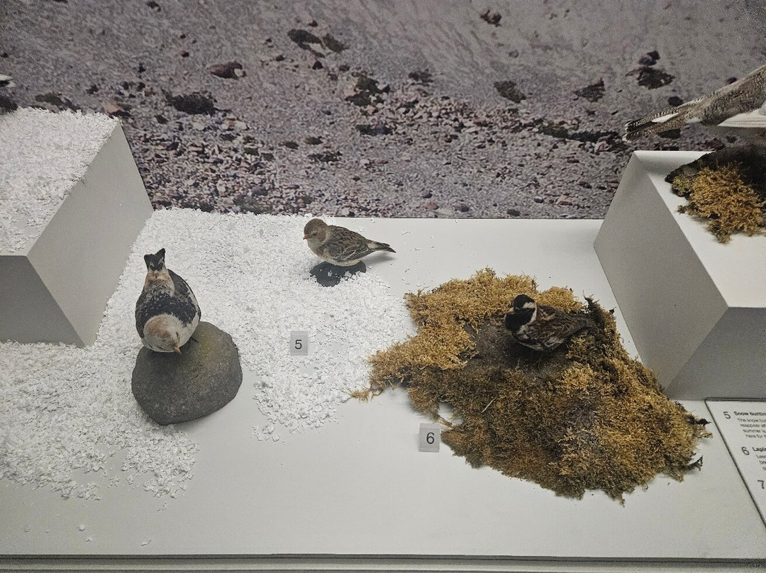 阿尔斯特博物馆-贝尔法斯特必去景点