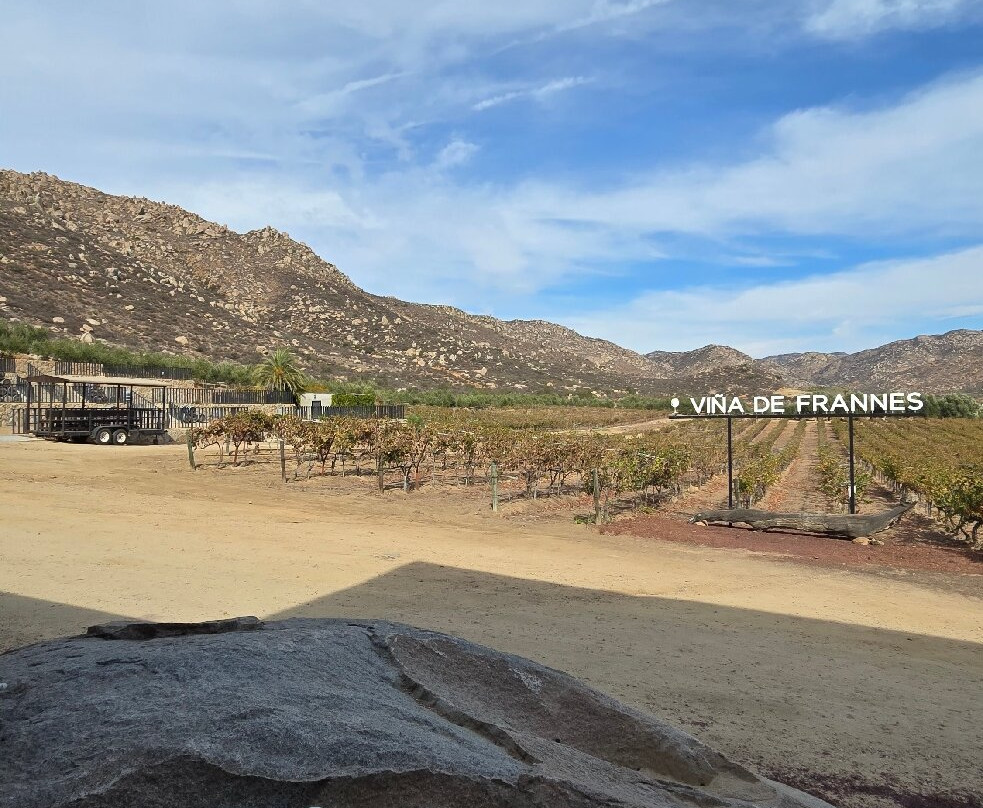 Vina de Frannes-Valle de Guadalupe必去景点