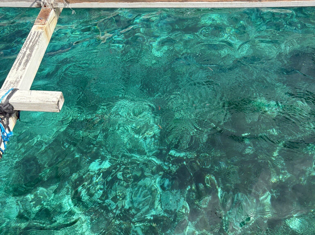 Cloud 9 Surfing Tower-锡亚高岛必去景点