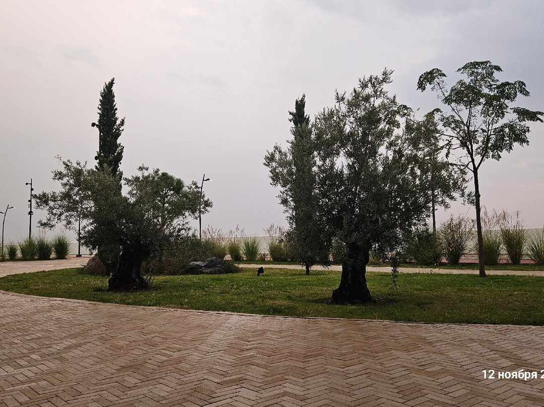 Musical Garden-Sirius必去景点