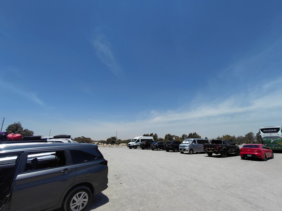 Dromedarius-伊卡必去景点