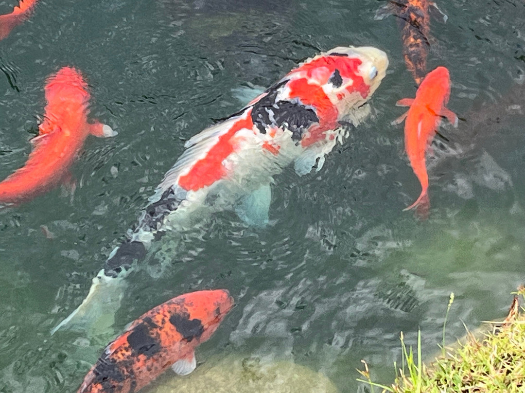 Na Aina Kai Botanical Gardens-基拉韦厄必去景点