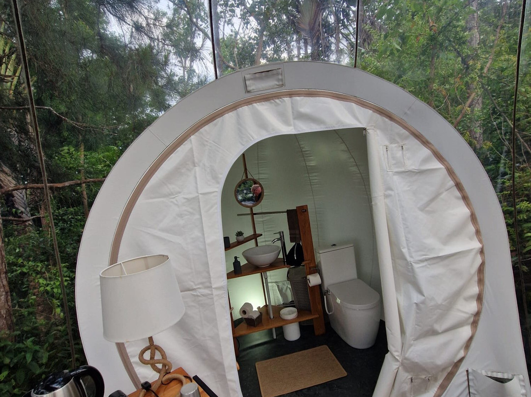 Bubble Lodge Bois Cheri主图