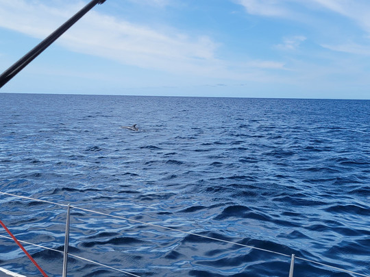 Cuba Libre Sailing Cape Verde-圣塔玛丽亚必去景点