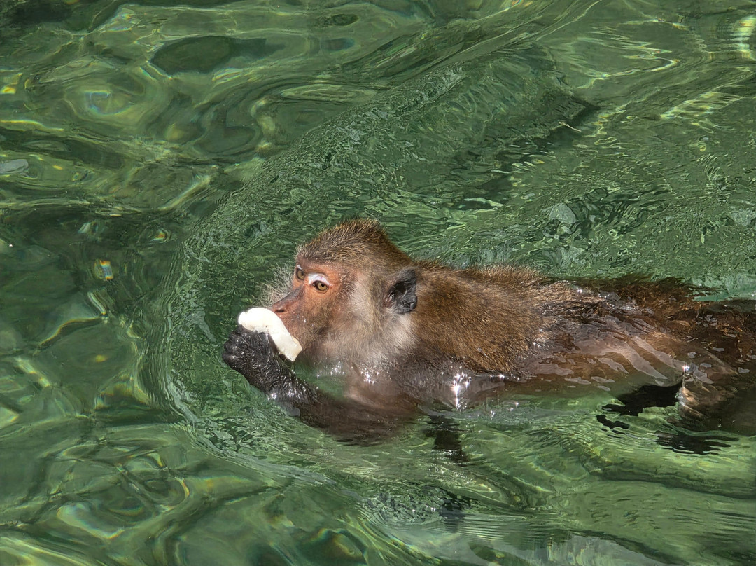 Our Magical Thailand-阁耀亚伊岛必去景点