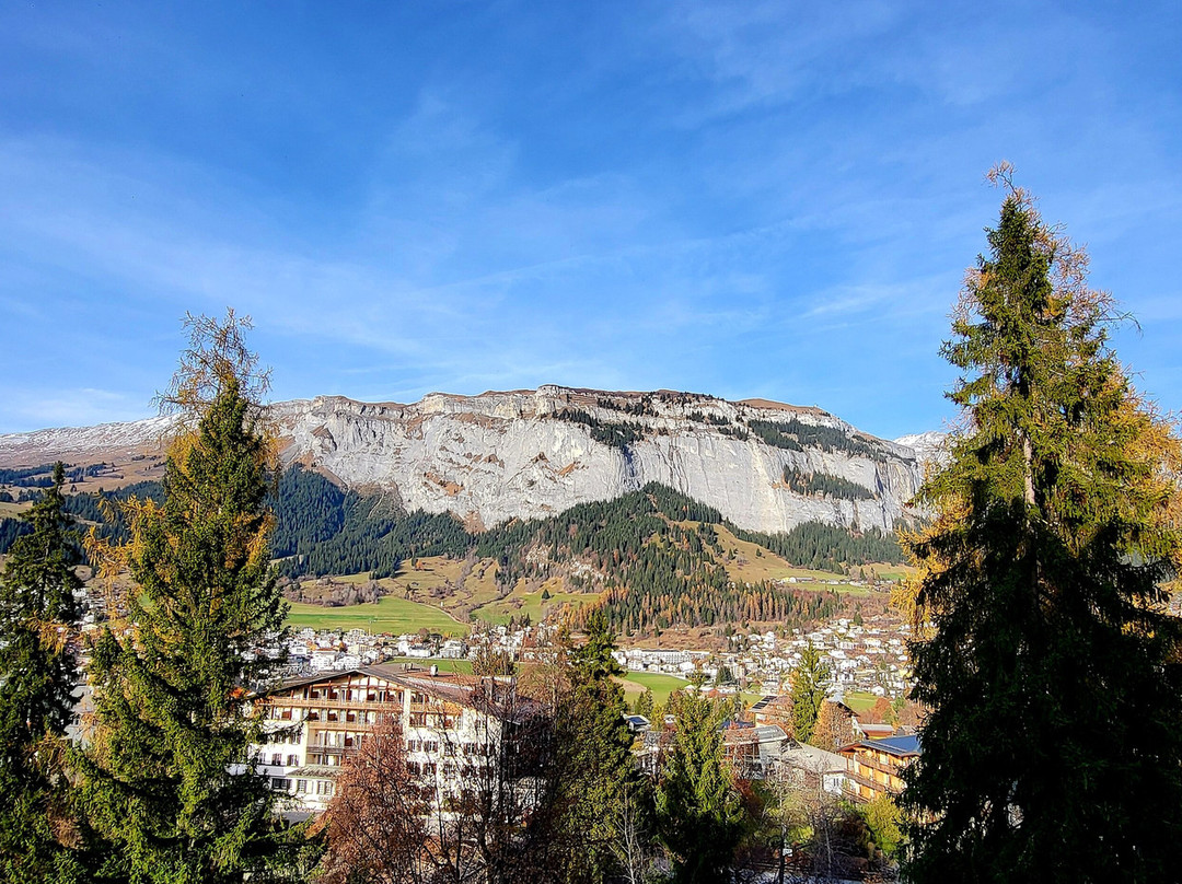 施瓦茨霍夫罗曼蒂克酒店主图