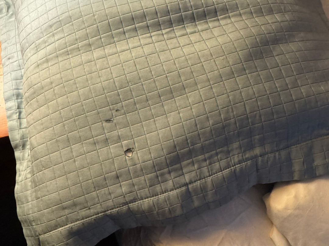 Pleasant Night Inn - Fort Drum主图