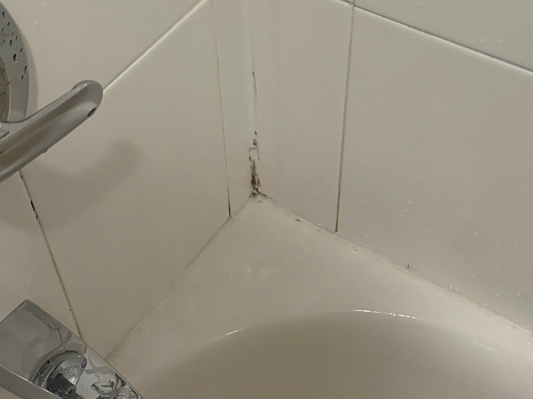 TownePlace Suites by Marriott York主图