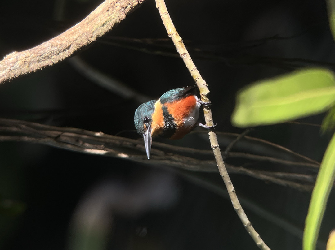 Tranquilo Bay Eco Adventure Lodge主图