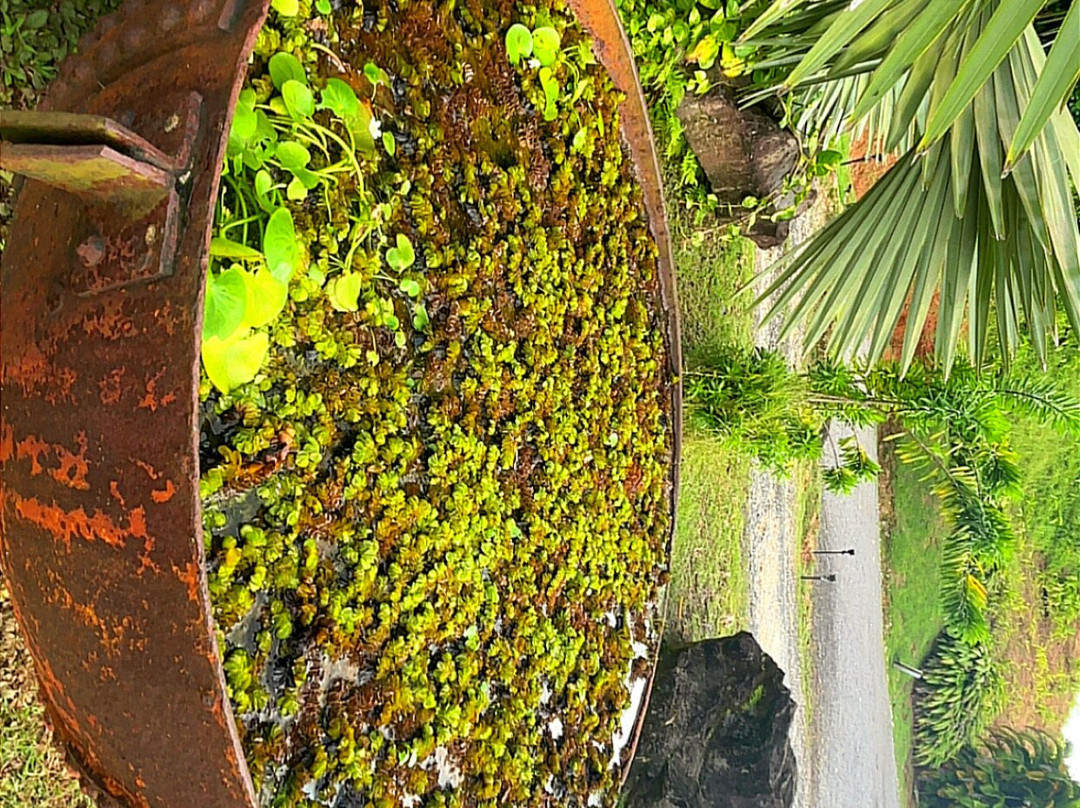 Jardin Botanique de Valombreuse-Petit-Bourg必去景点