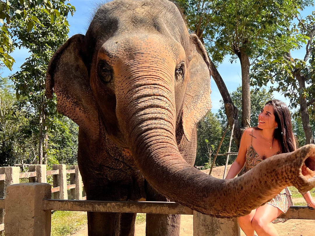 Maerim Elephant Sanctuary-夜林必去景点