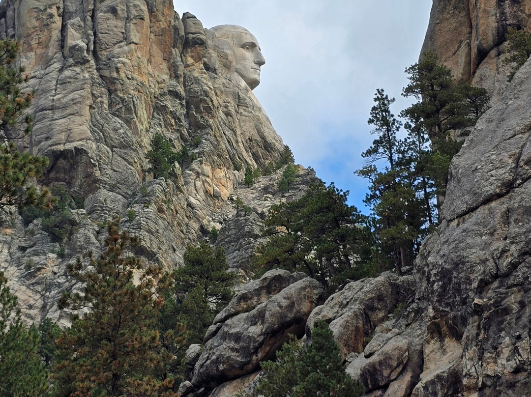 Mount Rushmore Profile View