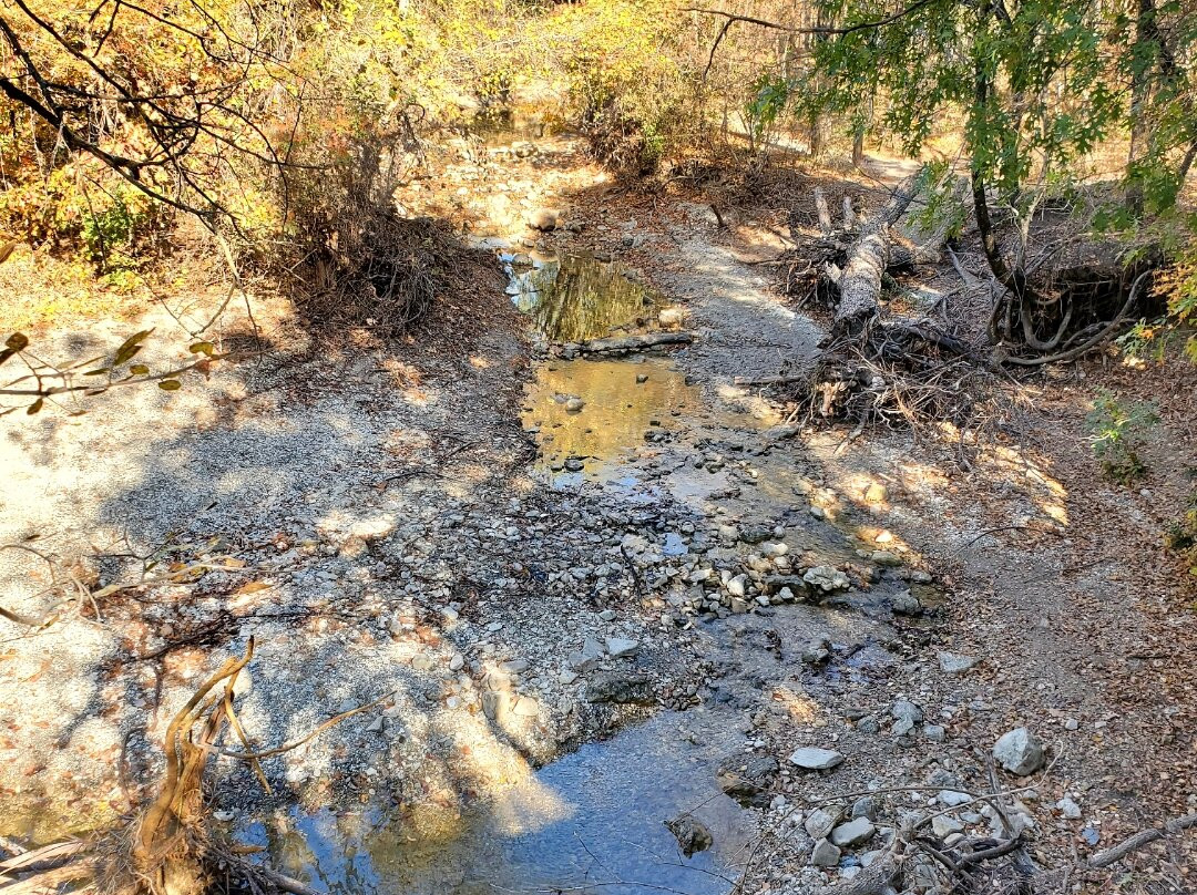 Arbor Hills Nature Preserve-普莱诺必去景点