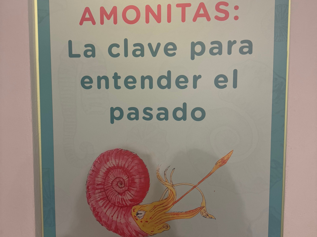 Museo El Fosil-莱瓦镇必去景点