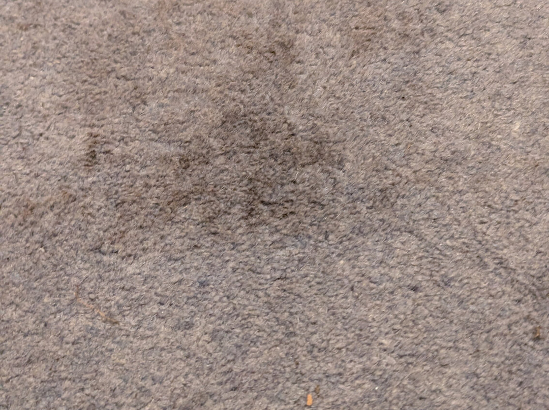 戴斯塞奇莫尔酒店主图