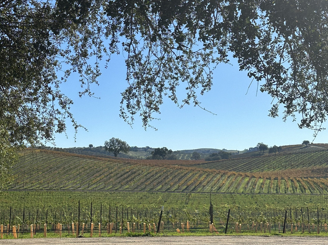 The Fableist Wine Company-Templeton必去景点