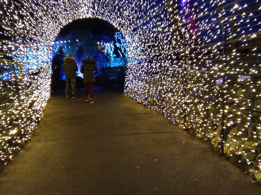 Matlock Bath Illuminations-Matlock Bath必去景点