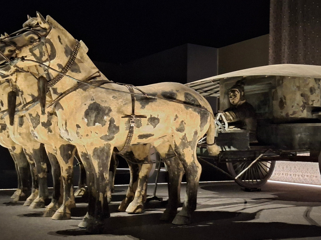 西澳博物馆-珀斯必去景点