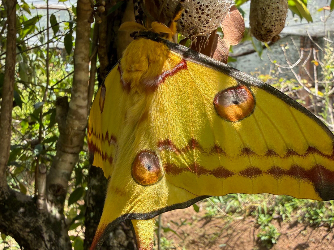Madarako Tours-安塔那那利佛必去景点