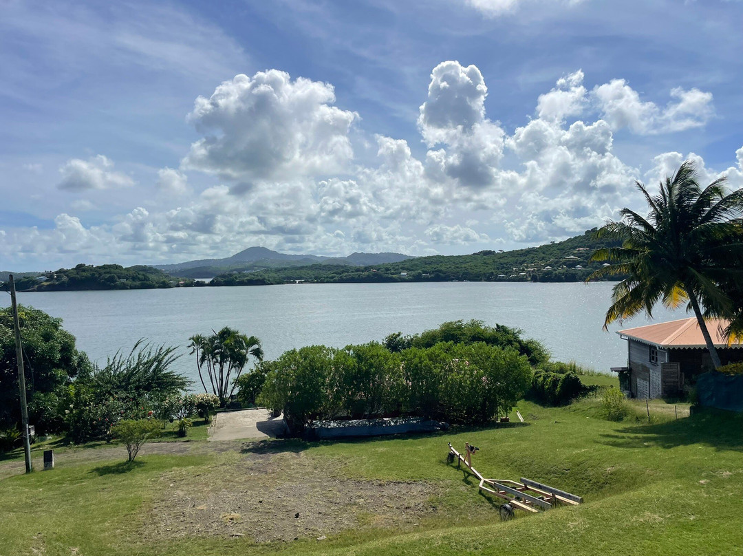 Matt'Excursions Nautiques-Le Francois必去景点