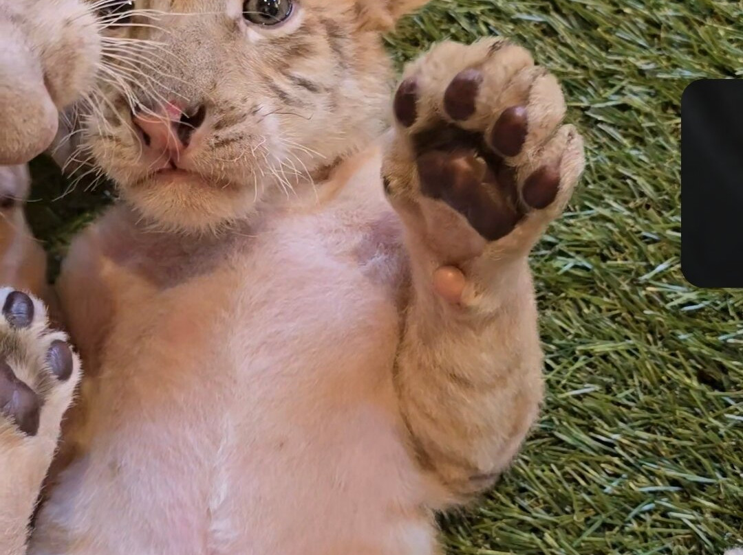 Pai Pai Ecotourism Park-恩塞纳达必去景点