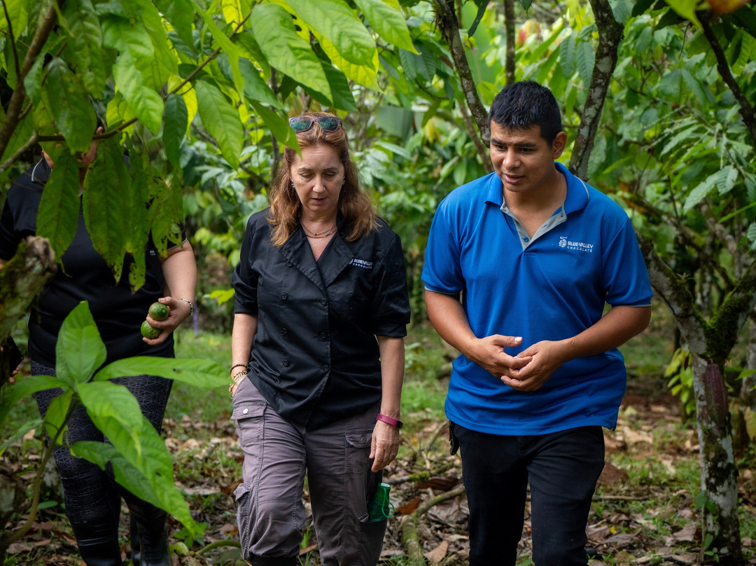 Maleku Chocolate-Upala必去景点