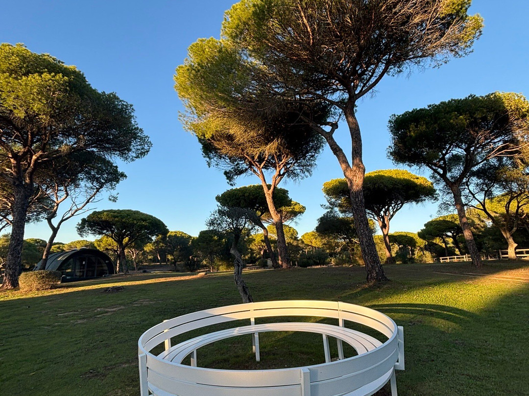 Fundación Montenmedio Contemporánea-贝赫尔－德拉弗龙特拉必去景点